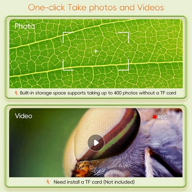 Unlock Endless Curiosity and Learning Adventures